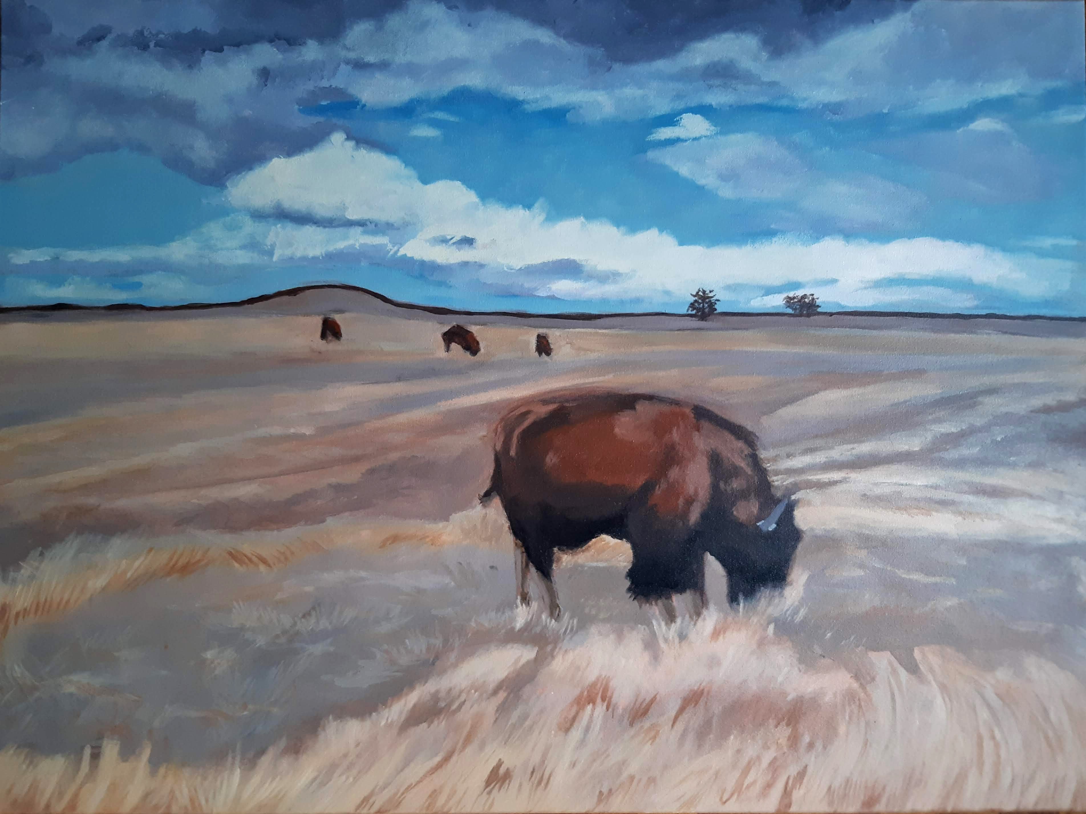 buffalo